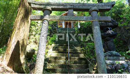 神社和鳥居 110116631