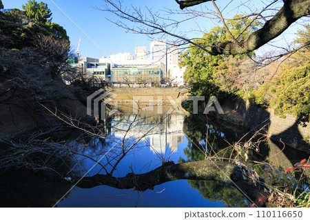Winter at Chidorigafuchi Winter at Chidorigafuchi 110116650