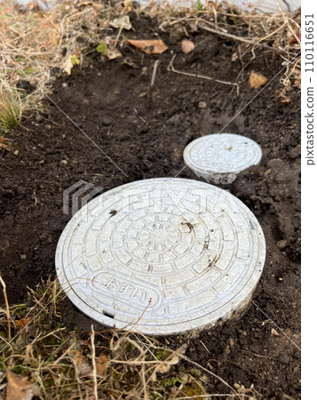 sewage trout 110116651