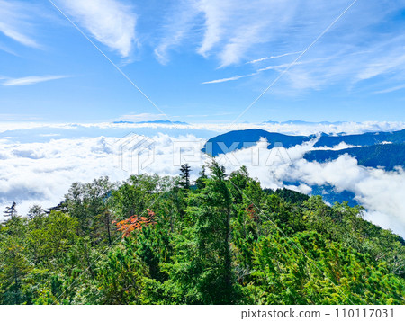 Climbing Mt. Jonendake in summer (Mimata trailhead - Mt. Jonendake: view toward Yatsugatake and the Southern Alps) Climbing Mt. Jonendake in summer (Mimata trailhead - Mt. Jonendake: view toward Yatsugatake and the Southern Alps) 110117031