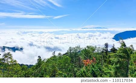 夏天的常年岳登山(三俁登山口~八嶽山:八嶽山眺望) 夏天的常年岳登山(三俁登山口~八嶽山:八嶽山眺望) 110117034
