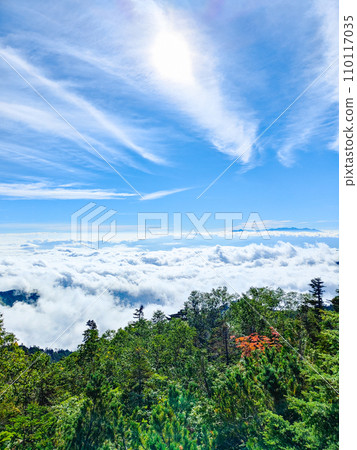 夏天的常年岳登山(三俁登山口~八嶽山:八嶽山眺望) 夏天的常年岳登山(三俁登山口~八嶽山:八嶽山眺望) 110117035