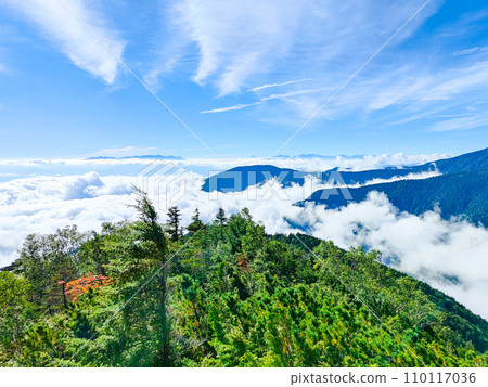 夏季登山常年岳（三俁登山口～常年岳：眺望八岳及南阿爾卑斯山） 110117036