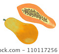 vegetable, pumpkin, ingredient 110117256