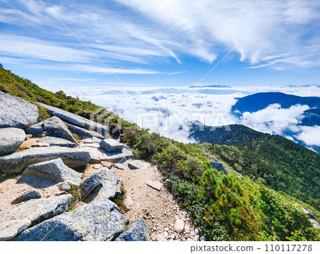 夏天的常年岳登山(三俁登山口~八嶽山:八嶽山眺望) 夏天的常年岳登山(三俁登山口~八嶽山:八嶽山眺望) 110117278