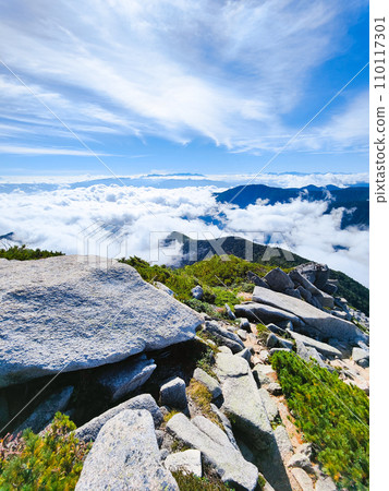 夏季登山常年岳(三俁登山口~常年岳:眺望八岳及南阿爾卑斯山) 夏季登山常年岳(三俁登山口~常年岳:眺望八岳及南阿爾卑斯山) 110117301
