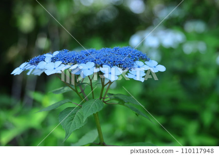 It gets wet when it rains 110117948