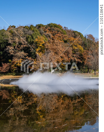 Autumn leaves reflected in the pond and foggy fountain (Matsudo City, Chiba Prefecture, 21st Century Forest and Plaza) 110118641