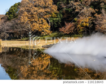Autumn leaves reflected in the pond and foggy fountain (Matsudo City, Chiba Prefecture, 21st Century Forest and Plaza) 110118643