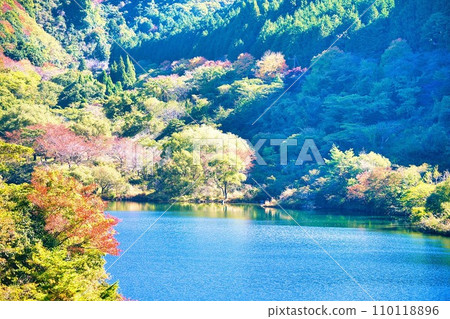Usogawa Dam in late autumn 110118896