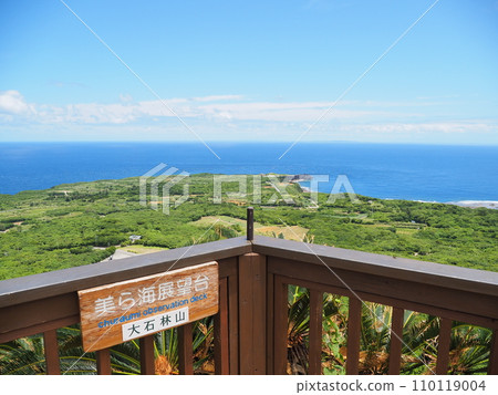 美麗海展望台/山原國立公園/大石林山(沖繩縣國頭郡國頭村) 美麗海展望台/山原國立公園/大石林山(沖繩縣國頭郡國頭村) 110119004