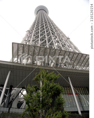 View of the Sky Tree from near Oshinari Park, Narihira, Sumida-ku, Tokyo View of the Sky Tree from near Oshinari Park, Narihira, Sumida-ku, Tokyo 110120154