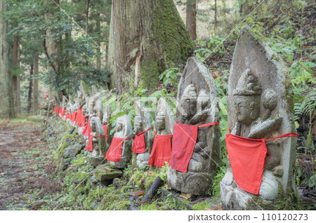 Niigata Jikoji temple approach Niigata Jikoji temple approach 110120273