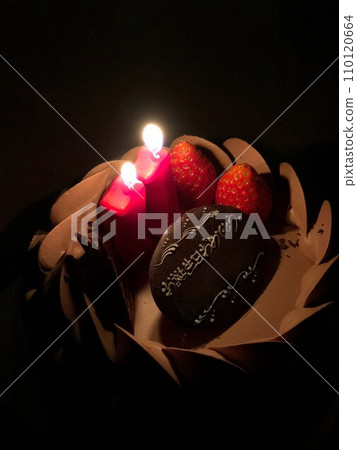 生日蛋糕 生日蛋糕 110120664