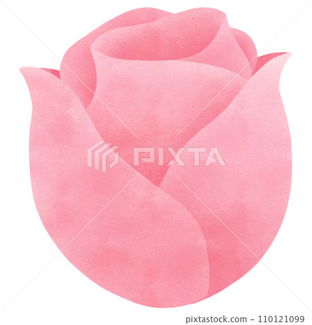 pink rose watercolor clip art pink rose watercolor clip art 110121099