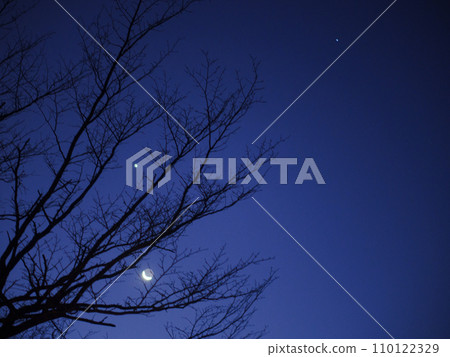 夜晚抬頭看營地的星星和月亮 110122329