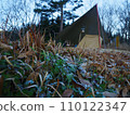 Frozen plants, tarps, bonfire tents and lanterns in the morning at a winter campsite 110122347