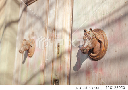 Fragment of brown old wooden door with metal door handles horse head shaped. Florence, Italy. 110122950