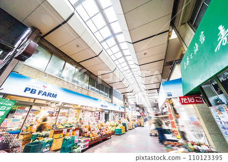 Satake Shopping District 110123395