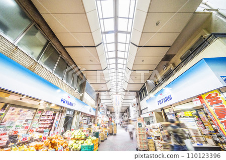Satake Shopping District 110123396
