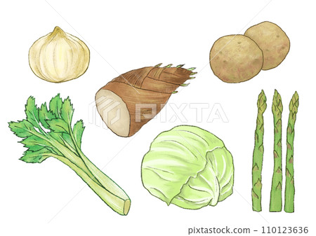 各種蔬菜的插圖 110123636