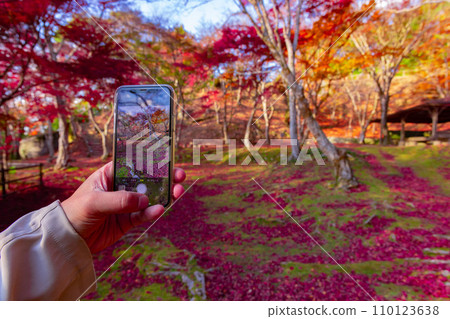 A person taking pictures of autumn leaves with a smartphone at Kasagiyama Momiji Park in Kyoto 110123638
