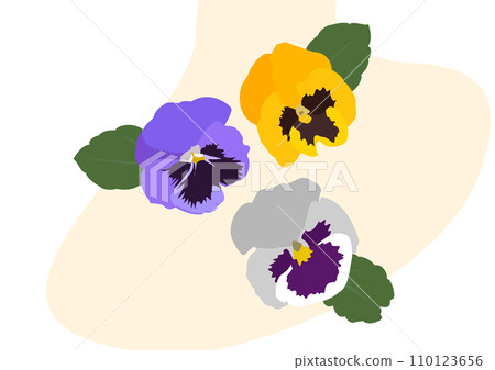 Vector swiss giants pansy mixed colors flowers Vector swiss giants pansy mixed colors flowers 110123656