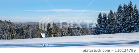 Panoramic winter hilly landscape with mountain cottage and coniferous forest. View from Jizera Mountains to Giant Mountains, Czechia Panoramic winter hilly landscape with mountain cottage and coniferous forest. View from Jizera Mountains to Giant Mountains, Czechia 110124799