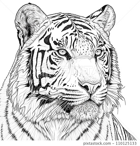 Graphic portrait of tiger. Printable t-short design 110125133