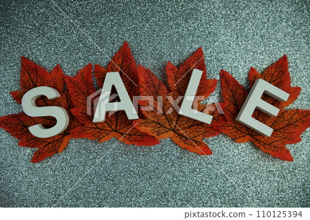 Sale alphabet letters with maple leaf Autumn and fall season promotion concept background Sale alphabet letters with maple leaf Autumn and fall season promotion concept background 110125394