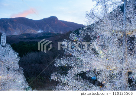 Hakone garden illumination 110125566