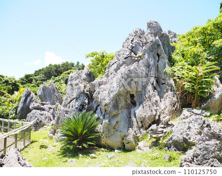 岩中外星人/山原國立公園/大石林山(沖繩縣國頭郡國頭村)3 岩中外星人/山原國立公園/大石林山(沖繩縣國頭郡國頭村)3 110125750