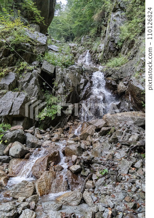 View of the mountain path of the Houou Sanzan Dondokozawa course in late September View of the mountain path of the Houou Sanzan Dondokozawa course in late September 110126824
