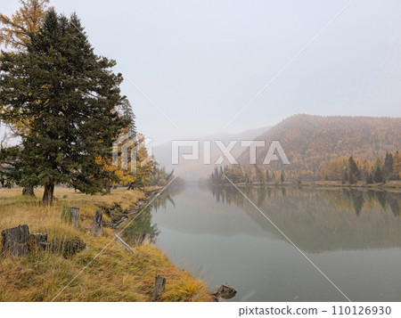 Quiet, calm autumn river in the rain. Beautiful misty mountain landscape with wide Argut river. Dark atmospheric view to river among mountains in foggy and rainy weather. 110126930