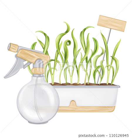 A garden composition of young spinach leaves and a sprayer for watering. Green onions, fresh sprouts in a garden pot. Healthy vegetables grown at home. Organic food products. Isolated illustration 110126945