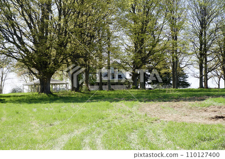 KEWADIN, MICHIGAN, UNITED STATES - MAY 16, 2018: Abandoned property of a summer camp at Maplehurst Lake in North Michigan KEWADIN, MICHIGAN, UNITED STATES - MAY 16, 2018: Abandoned property of a summer camp at Maplehurst Lake in North Michigan 110127400