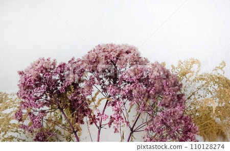 Pink and yellow dry flowers on a white background. Selective Focus Pink and yellow dry flowers on a white background. Selective Focus 110128274