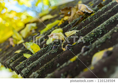 An old roof overgrown with moss and fallen leaves. 110128504