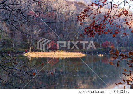 燦爛的陽光 110130352