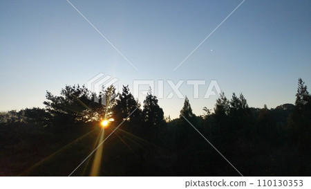 夕陽很快就會沉入森林 夕陽很快就會沉入森林 110130353