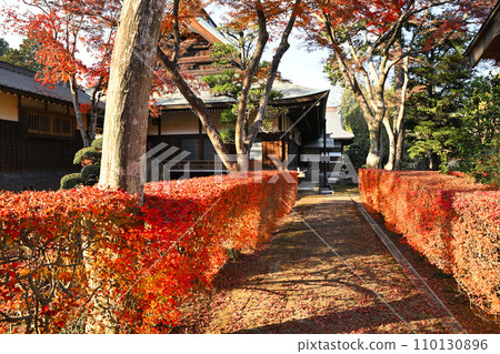 多福寺本堂 秋葉 埼玉縣三好町 多福寺本堂 秋葉 埼玉縣三好町 110130896