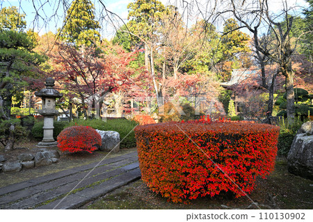 埼玉縣三好町多福寺寺院的秋葉 110130902