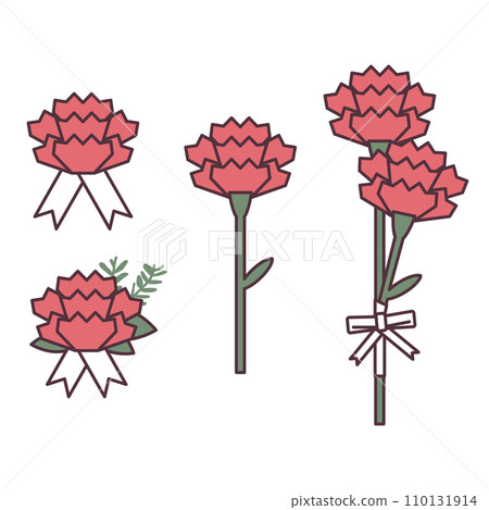 carnation illustration 110131914