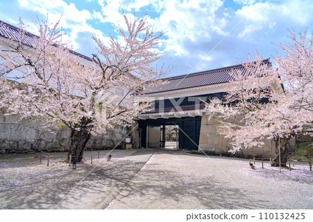 敦賀城正門鐵門櫻花盛開的春天會津若松市 110132425