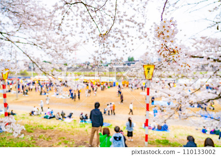 白石川堤防、千櫻花、春天的景象(宮城縣大河原町) 白石川堤防、千櫻花、春天的景象(宮城縣大河原町) 110133002