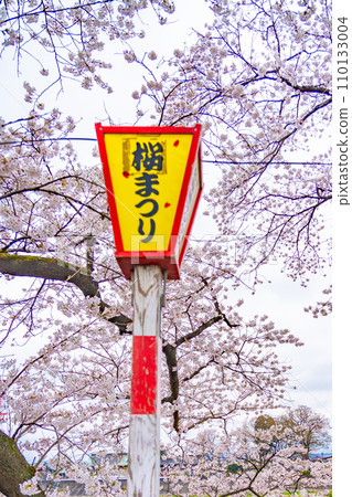 白石川堤防、千櫻花、春天的景象(宮城縣大河原町) 白石川堤防、千櫻花、春天的景象(宮城縣大河原町) 110133004