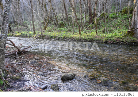 Oirase stream of late autumn 110133065