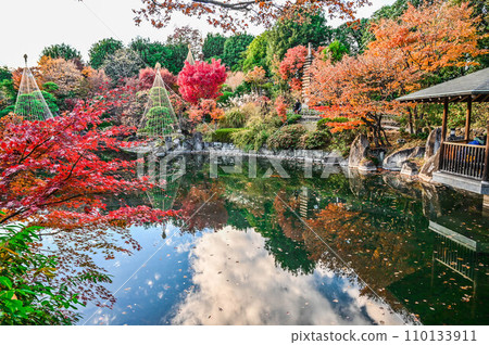 目白花園池塘和東京紅葉名勝楓樹 目白花園池塘和東京紅葉名勝楓樹 110133911