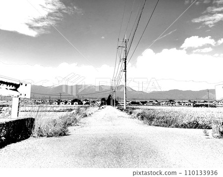 Summer country road Summer country road 110133936