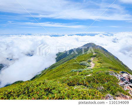 Summer Mt. Jonen climbing (Mae Jonendake - Jonendake: Sea of clouds) 110134009